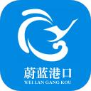 魔都眼｜世界跑者大聚会！上海半马吸引60多个国家和地区的选手